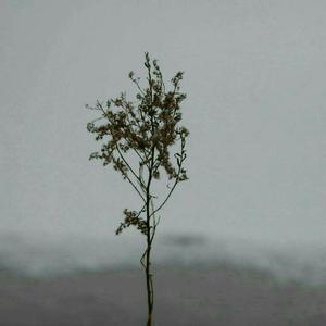 打麻将输了让男人吃奶抵
